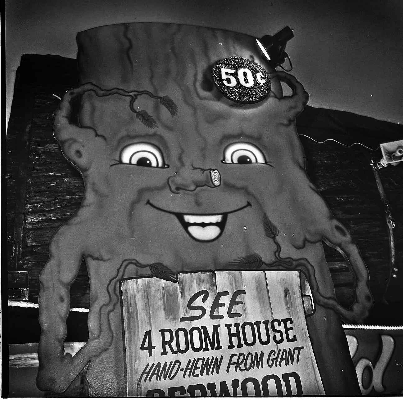 Big tree 4 bedrooms, by Christopher Flach